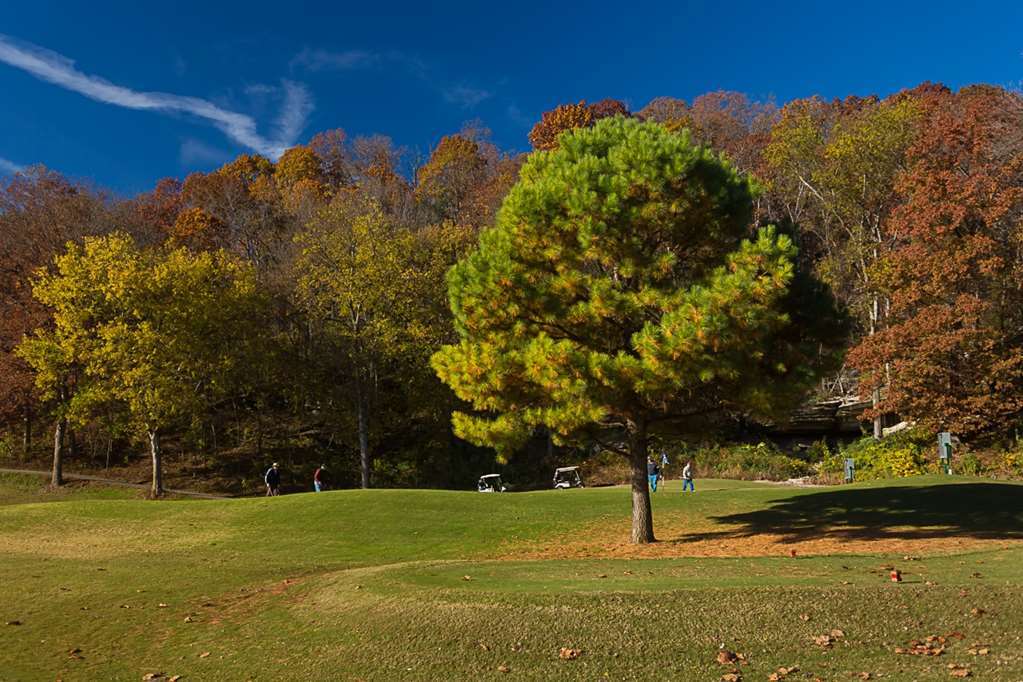 The Greens II At Bella Vista Village Exterior photo